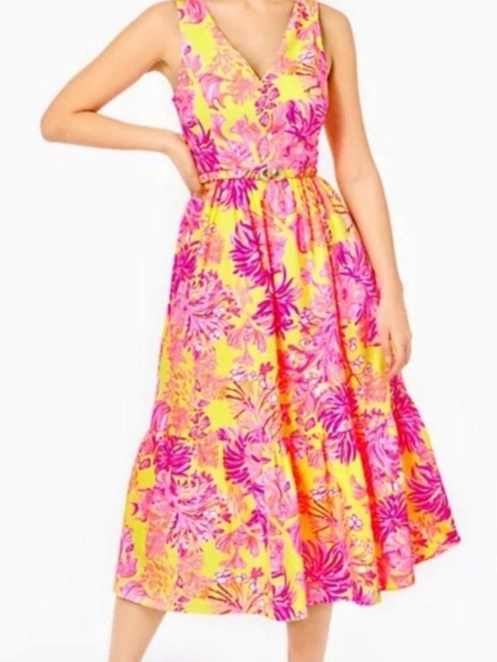 Lilly Pulitzer Bre V Neck Cotton Dress 4